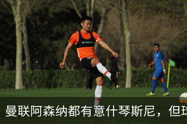 曼联阿森纳都有意什琴斯尼，但球员最终决定退役